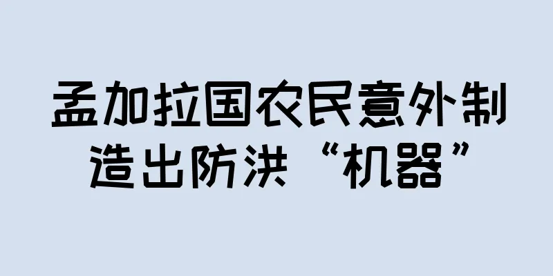 孟加拉国农民意外制造出防洪“机器”