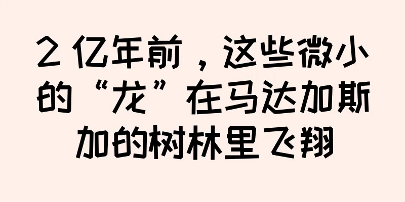 2 亿年前，这些微小的“龙”在马达加斯加的树林里飞翔