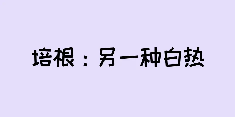 培根：另一种白热