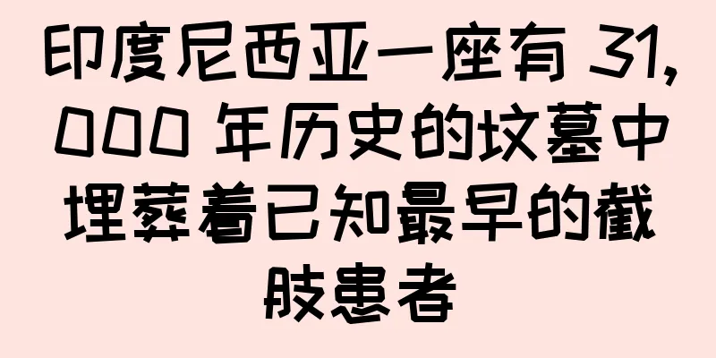 印度尼西亚一座有 31,000 年历史的坟墓中埋葬着已知最早的截肢患者