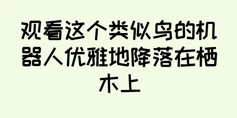 观看这个类似鸟的机器人优雅地降落在栖木上