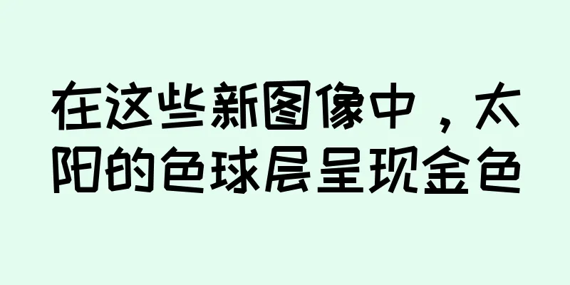 在这些新图像中，太阳的色球层呈现金色