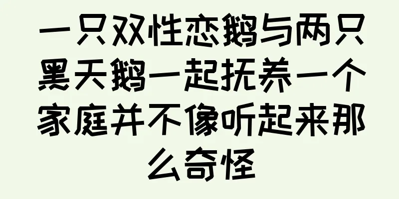 一只双性恋鹅与两只黑天鹅一起抚养一个家庭并不像听起来那么奇怪
