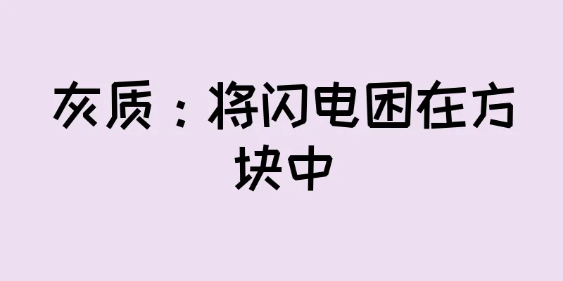 灰质：将闪电困在方块中