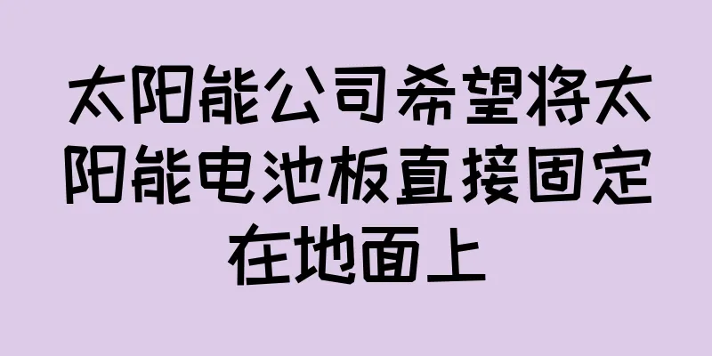 太阳能公司希望将太阳能电池板直接固定在地面上