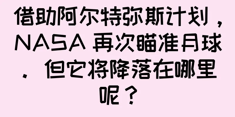 借助阿尔特弥斯计划，NASA 再次瞄准月球。但它将降落在哪里呢？