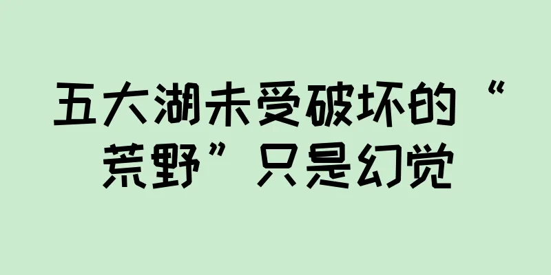 五大湖未受破坏的“荒野”只是幻觉