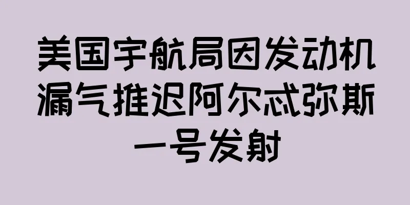 美国宇航局因发动机漏气推迟阿尔忒弥斯一号发射
