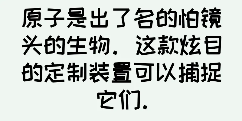原子是出了名的怕镜头的生物。这款炫目的定制装置可以捕捉它们。