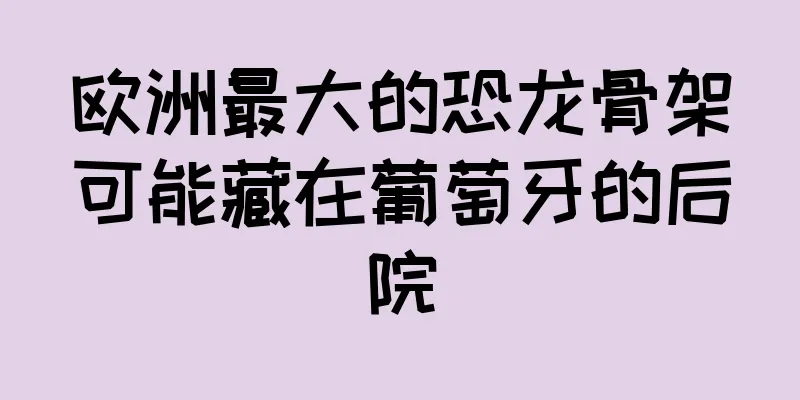 欧洲最大的恐龙骨架可能藏在葡萄牙的后院