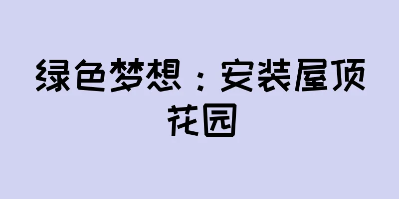 绿色梦想：安装屋顶花园