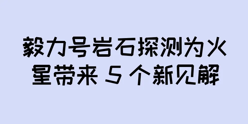 毅力号岩石探测为火星带来 5 个新见解