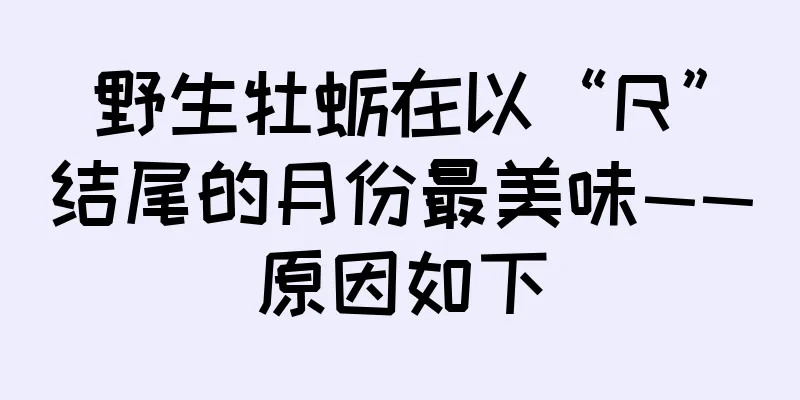 野生牡蛎在以“R”结尾的月份最美味——原因如下
