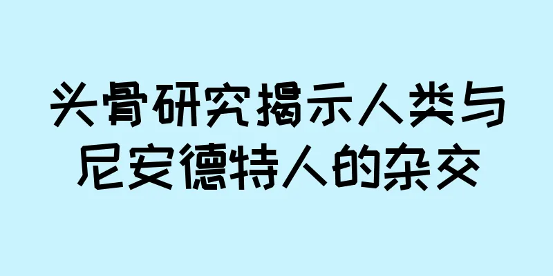 头骨研究揭示人类与尼安德特人的杂交