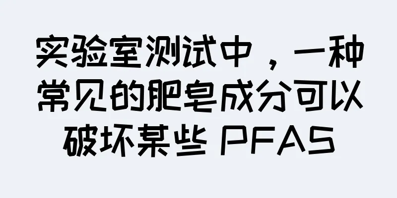 实验室测试中，一种常见的肥皂成分可以破坏某些 PFAS