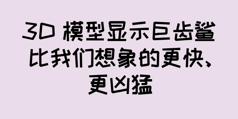 3D 模型显示巨齿鲨比我们想象的更快、更凶猛