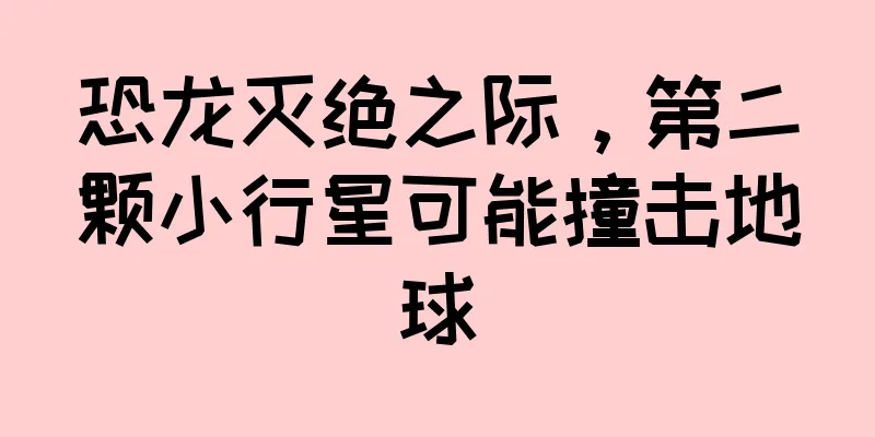 恐龙灭绝之际，第二颗小行星可能撞击地球