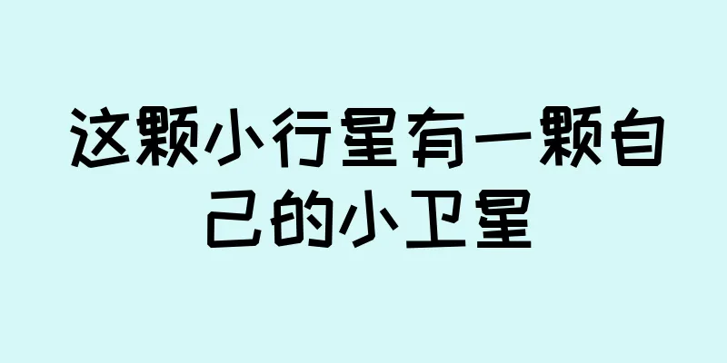 这颗小行星有一颗自己的小卫星