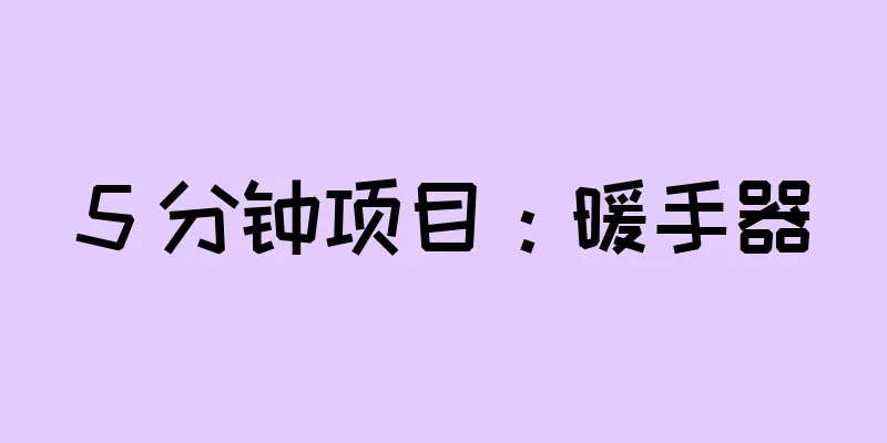 5 分钟项目：暖手器