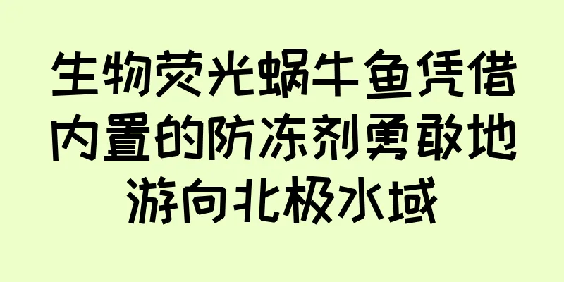 生物荧光蜗牛鱼凭借内置的防冻剂勇敢地游向北极水域