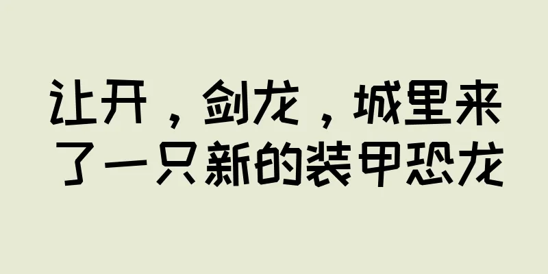 让开，剑龙，城里来了一只新的装甲恐龙