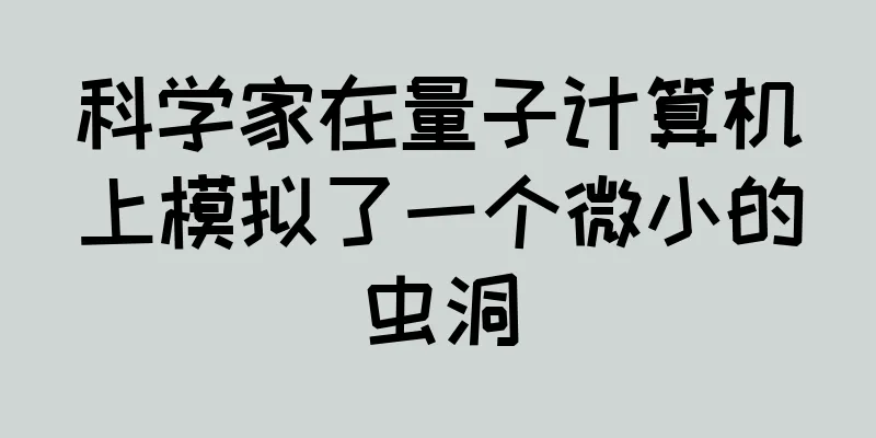 科学家在量子计算机上模拟了一个微小的虫洞