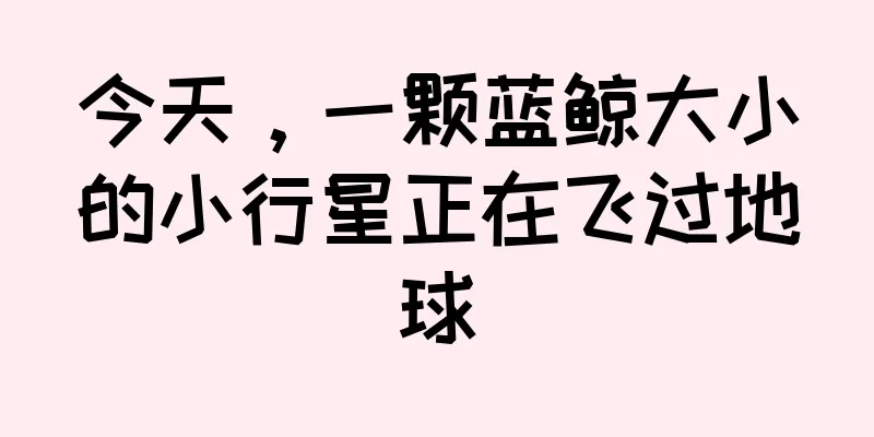 今天，一颗蓝鲸大小的小行星正在飞过地球
