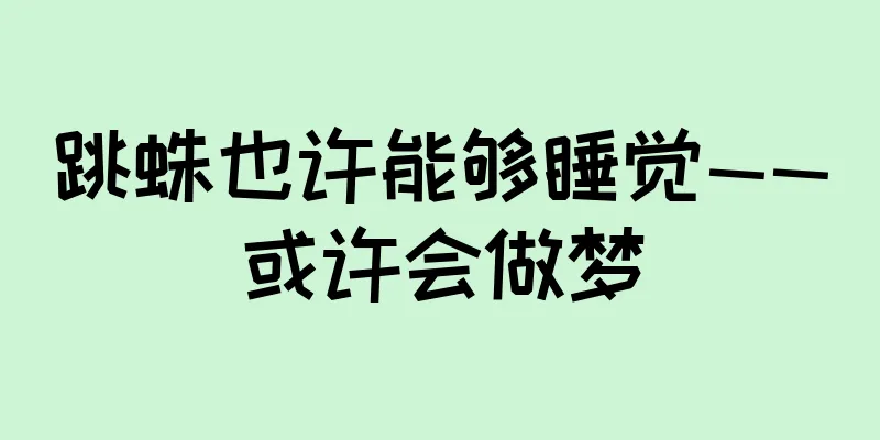 跳蛛也许能够睡觉——或许会做梦