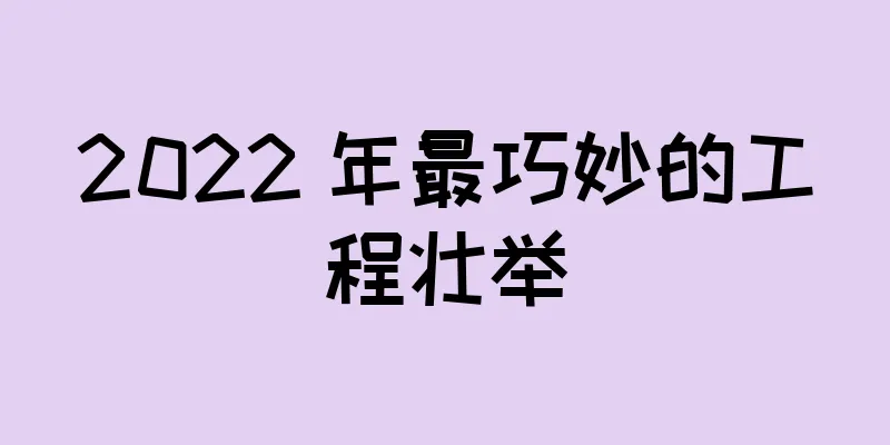 2022 年最巧妙的工程壮举