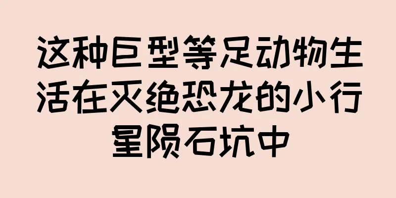 这种巨型等足动物生活在灭绝恐龙的小行星陨石坑中