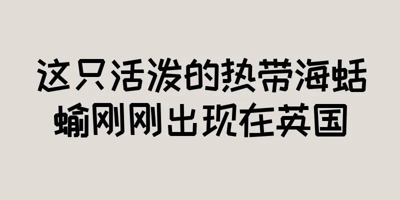 这只活泼的热带海蛞蝓刚刚出现在英国