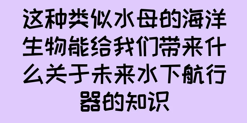 这种类似水母的海洋生物能给我们带来什么关于未来水下航行器的知识