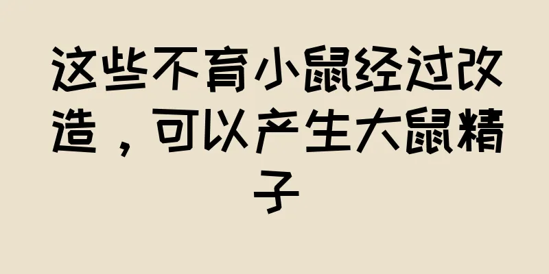 这些不育小鼠经过改造，可以产生大鼠精子