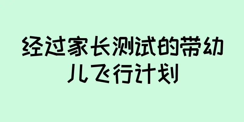 经过家长测试的带幼儿飞行计划