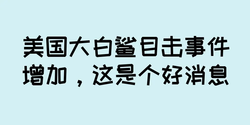 美国大白鲨目击事件增加，这是个好消息
