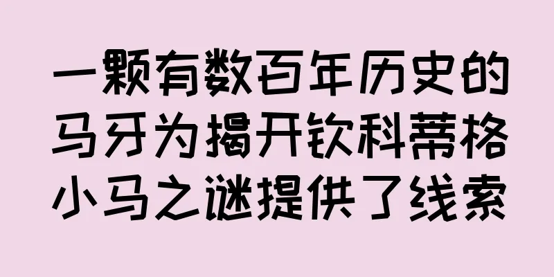 一颗有数百年历史的马牙为揭开钦科蒂格小马之谜提供了线索