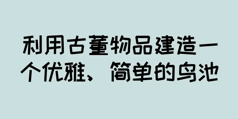 利用古董物品建造一个优雅、简单的鸟池