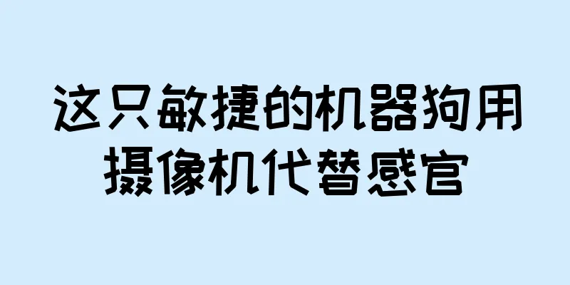 这只敏捷的机器狗用摄像机代替感官
