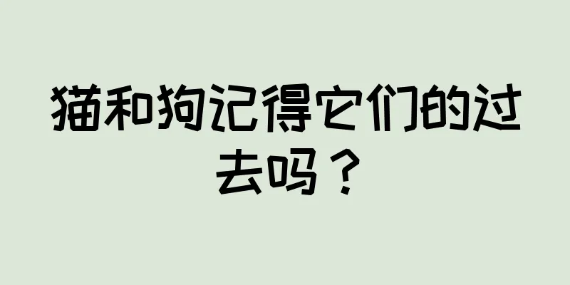 猫和狗记得它们的过去吗？
