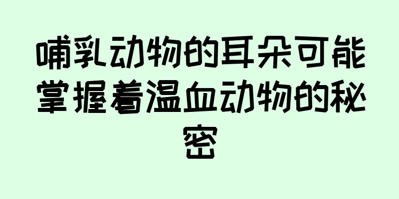 哺乳动物的耳朵可能掌握着温血动物的秘密