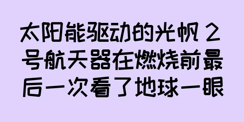 太阳能驱动的光帆 2 号航天器在燃烧前最后一次看了地球一眼