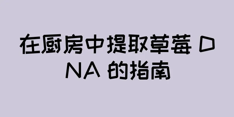 在厨房中提取草莓 DNA 的指南