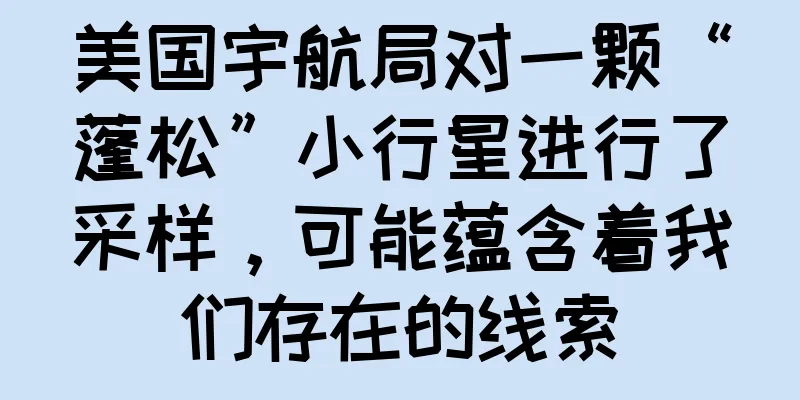 美国宇航局对一颗“蓬松”小行星进行了采样，可能蕴含着我们存在的线索