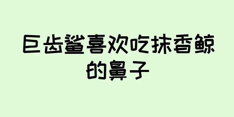 巨齿鲨喜欢吃抹香鲸的鼻子