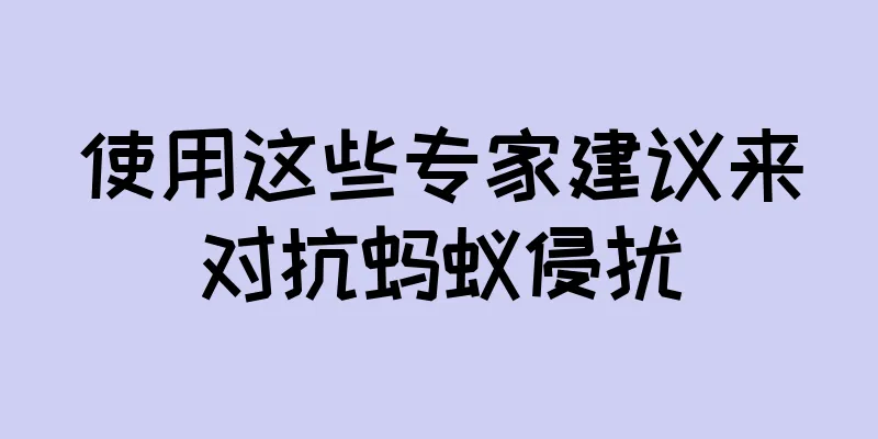 使用这些专家建议来对抗蚂蚁侵扰