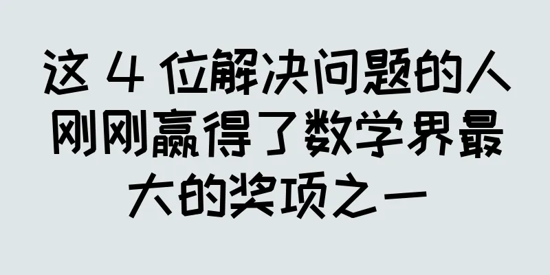 这 4 位解决问题的人刚刚赢得了数学界最大的奖项之一