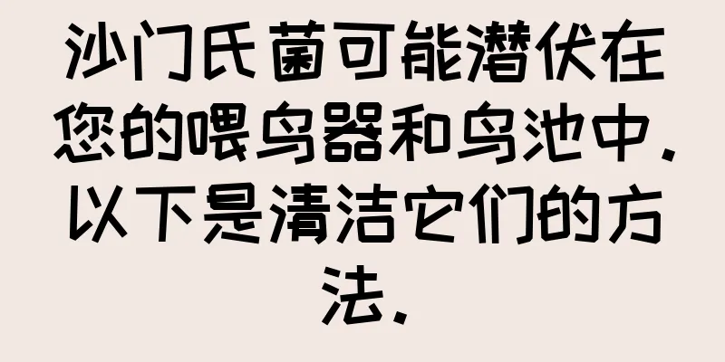 沙门氏菌可能潜伏在您的喂鸟器和鸟池中。以下是清洁它们的方法。