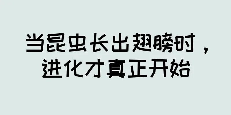 当昆虫长出翅膀时，进化才真正开始