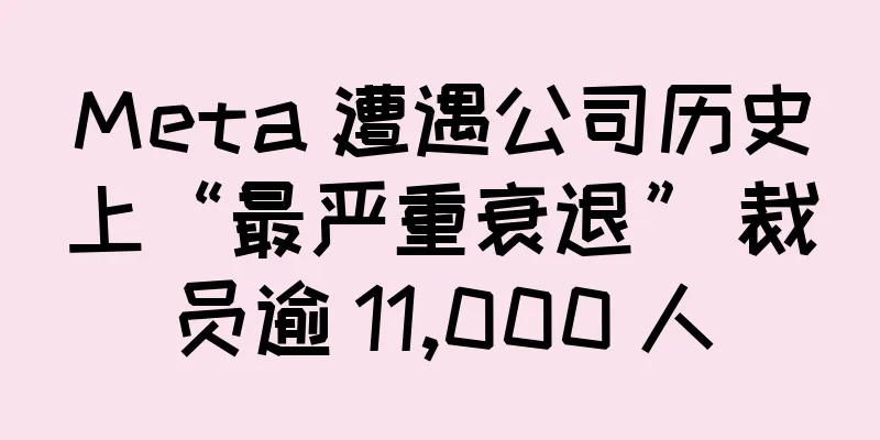 Meta 遭遇公司历史上“最严重衰退” 裁员逾 11,000 人