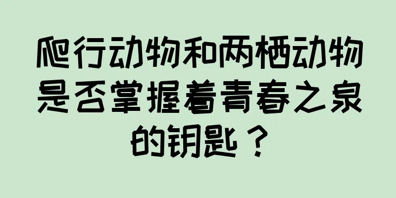 爬行动物和两栖动物是否掌握着青春之泉的钥匙？